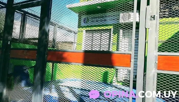 Consultorio Podologico Tecnica En Podologia Medica Ana Borghesan Fotos - Montevideo