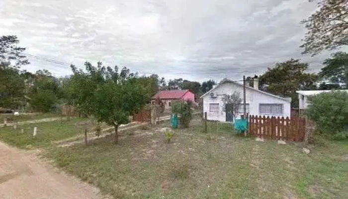 Consultorio Veterinario -  Catalogo - La Floresta