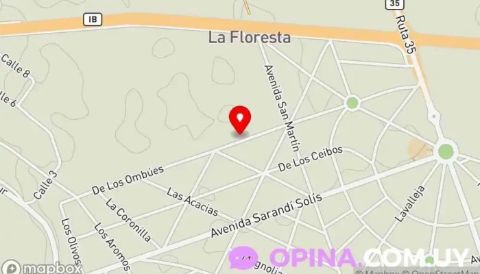 mapa de Consultorio Veterinario Veterinario en La Floresta