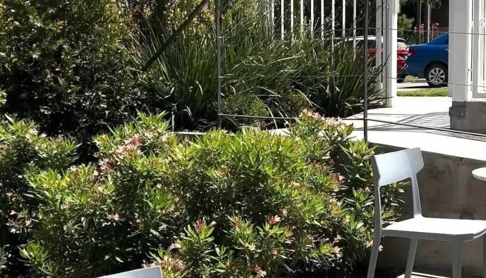 Contigo Sueno Videos - Montevideo