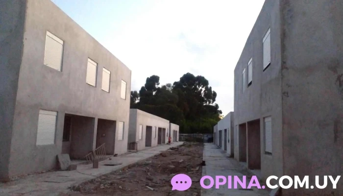 Cooperativa 20 De Mayo -  Como Llegar - Montevideo