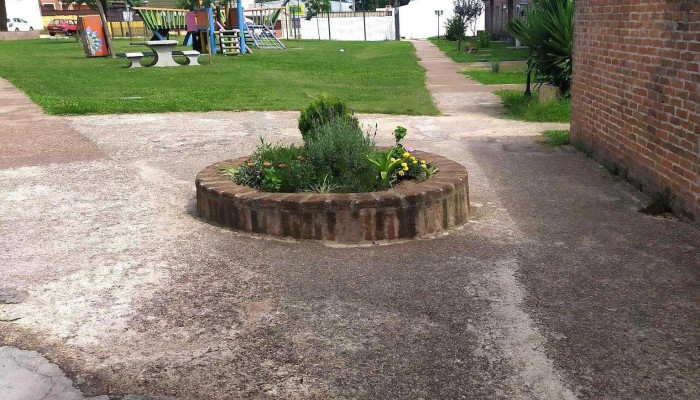 Cooperativa Covipalma -  Direccion - Montevideo