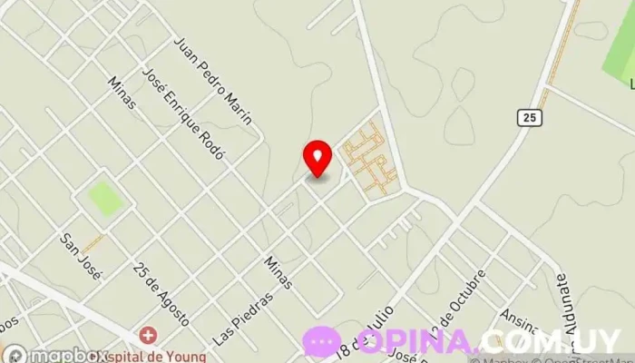 mapa de Cooperativa de viviendas CO.VI.SI. YOUNG Sociedad de viviendas en Young