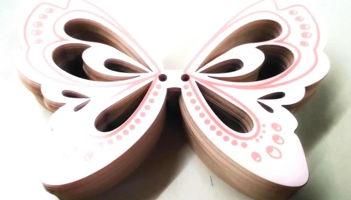 Cooperativa Del Ejido -  Interior - Montevideo