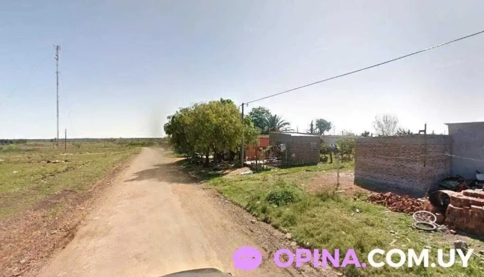 Coovitnor 2 - Bella Unión