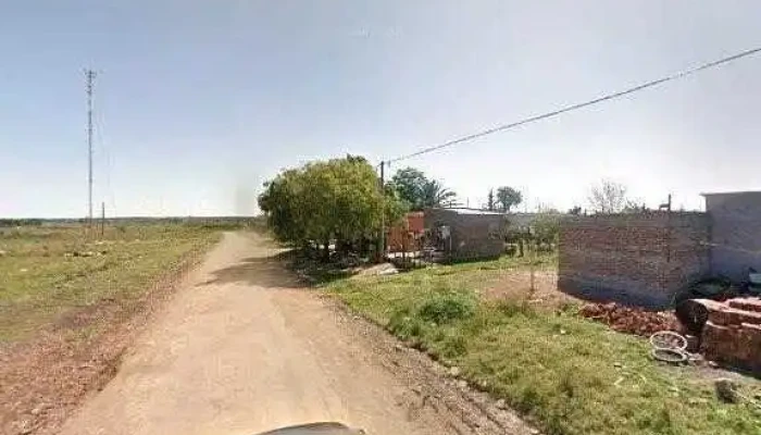 Coovitnor 2 -  Comentarios - Bella Unión