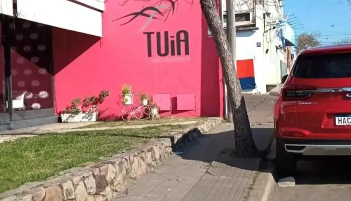 Coppola Serra -  Del Propietario - Salto