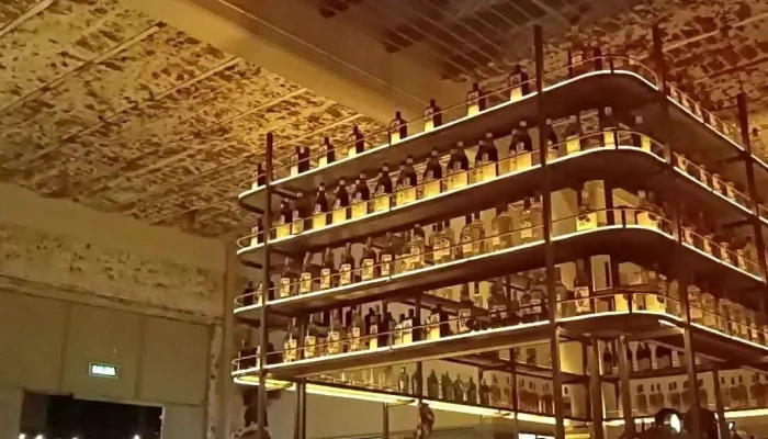 Cordon Beer Prado Videos - Montevideo