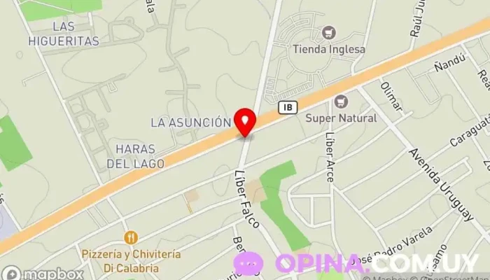 mapa de Costa Este Inversiones Promotora inmobiliaria en Ciudad de la Costa