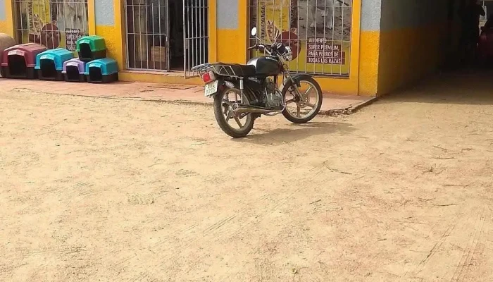 Costa Mascotas - Salinas