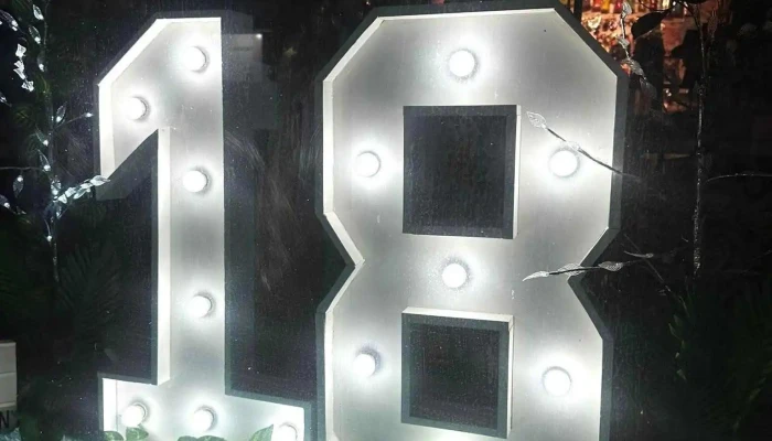 Cotillon Party Del Propietario - Santa Rosa