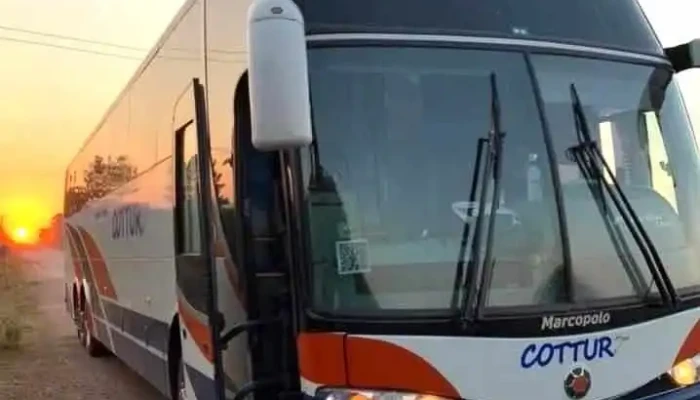 Cottur -  Todo - Constitución