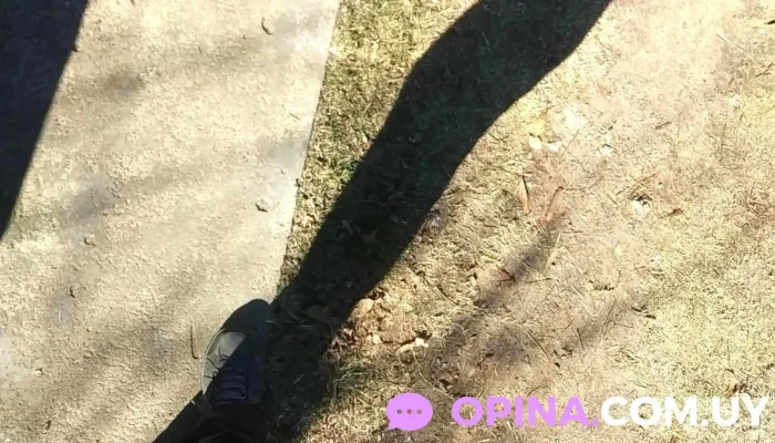 Covianalpa Iii -  Videos - Mercedes