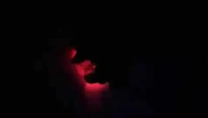 Covifami -  Videos - Montevideo