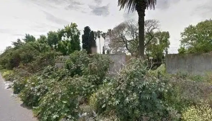 Covifan7 -  Como Llegardeg - Montevideo