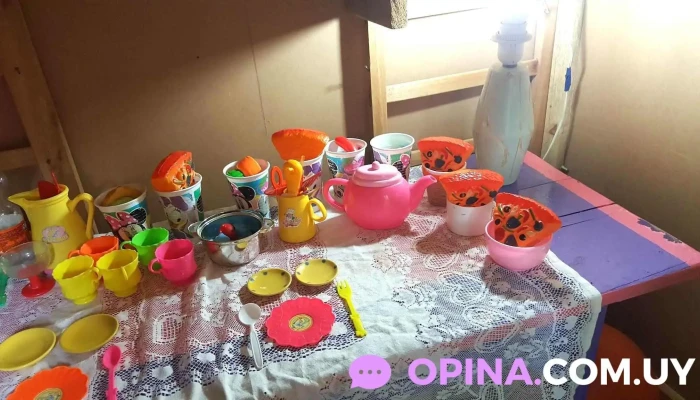 Covifum -  Comida Y Bebida - Florida