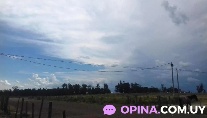 Covifum -  De Los Visitantes - Florida