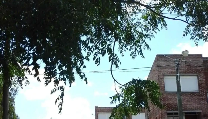 Covifum -  Exterior - Florida