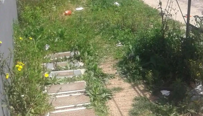 Covifun -  Cerca De Mi - Florida