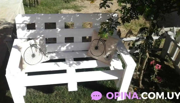 Covifun -  De Los Visitantes - Florida