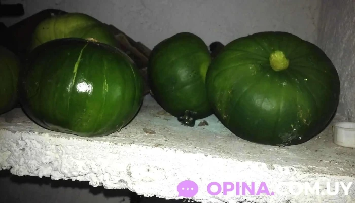 Covimon -  Comida Y Bebida - Montes