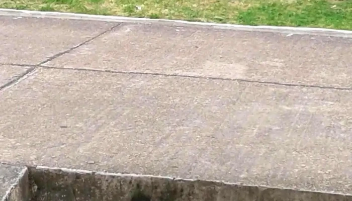 Covimt 3 -  Exterior - Montevideo