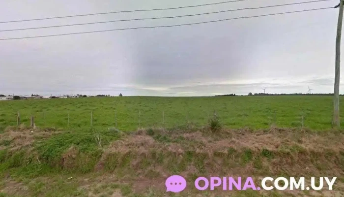 Coviuniliber - Libertad