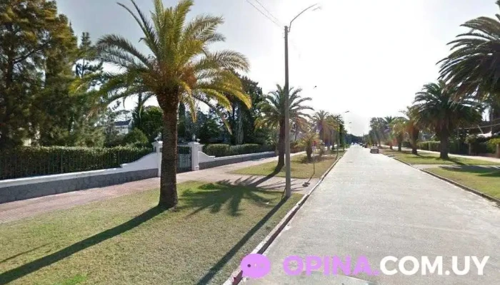 Crediton - Montevideo