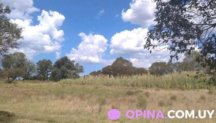 Crew Bienes Raices - Gral. Líber Seregni