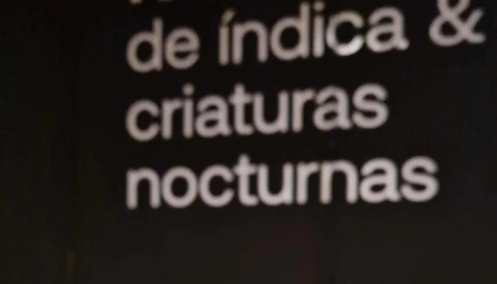 Criaturas Nocturnas -  Comentario 2 - Montevideo