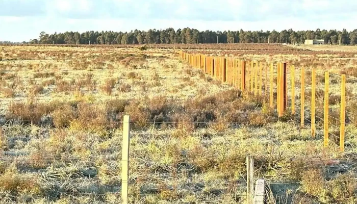 Criollos La Cachimba -  Del Propietario - Estaci&oacute;n Atl&aacute;ntida