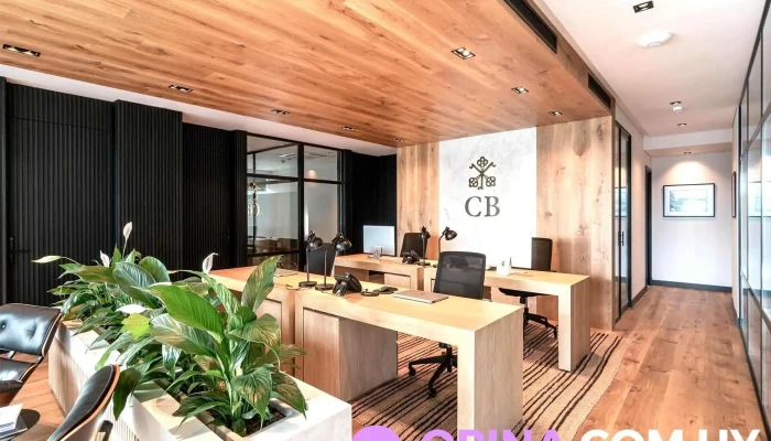 Crisci Blanco Propiedades -  Ubicacion - Montevideo