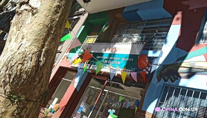 Croc Galletas Artesanales -  Todas - Montevideo