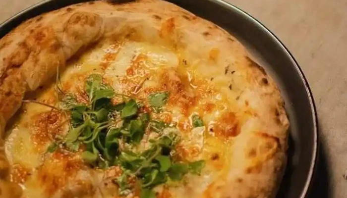 Cuervo Del Propietario - Ciudad de la Costa