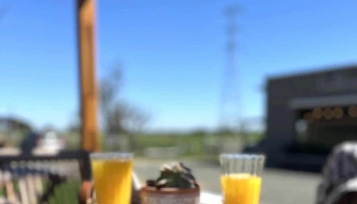 Cultivo -  Brunch De Campo Comentario 4 - Nueva Helvecia