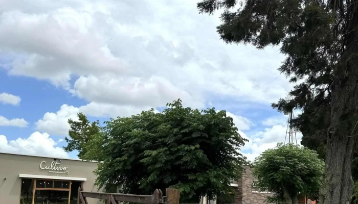 Cultivo -  Brunch De Campo Comentario 7 - Nueva Helvecia