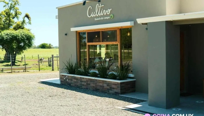 Cultivo - Brunch de campo - Nueva Helvecia