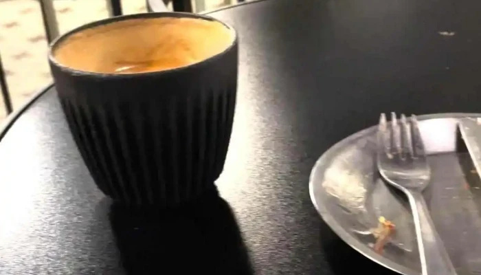 Culto Cafe Cv Ambiente - Montevideo