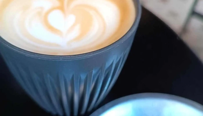 Culto Cafe Cv Recientes - Montevideo