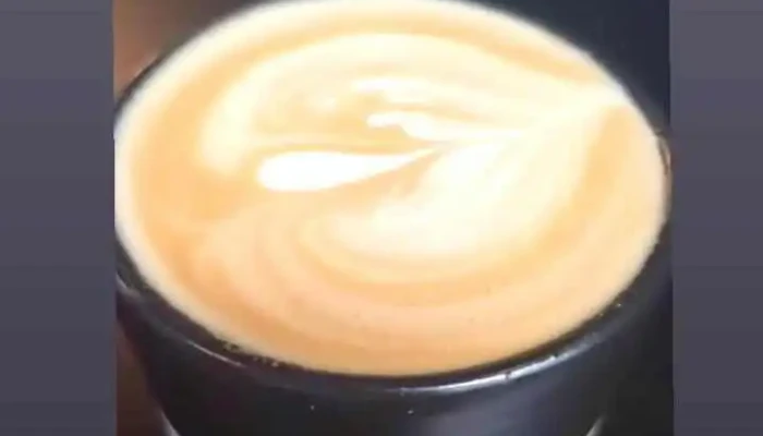 Culto Cafe Cv Videos - Montevideo