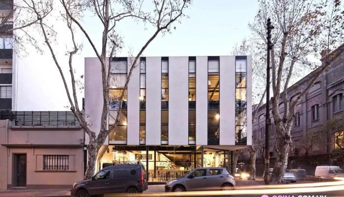 Culto Cafe Del Propietario - Montevideo