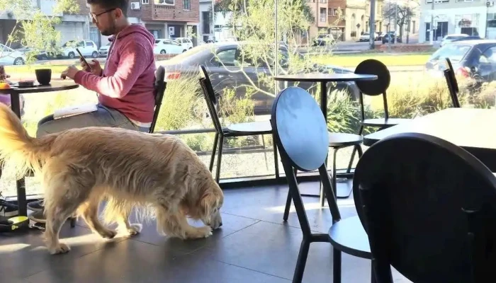 Culto Cafe Epa Todo - Montevideo