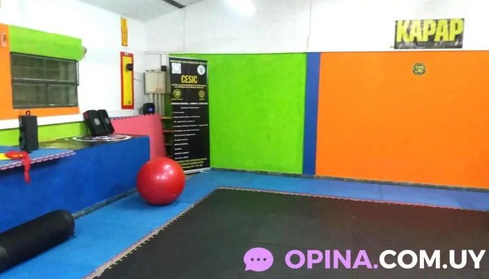 Curso Defensa Personal -  Ubicacion - Montevideo