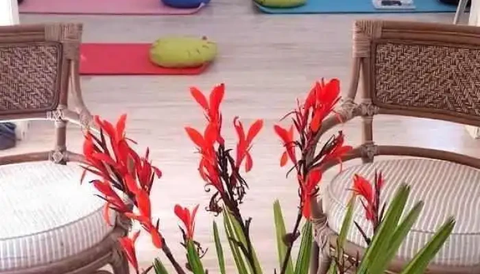 Cursos Mindfulness en Paysandú - Paysandú