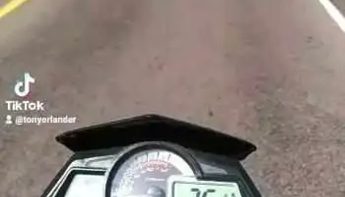 Curtina -  Videos - Curtina