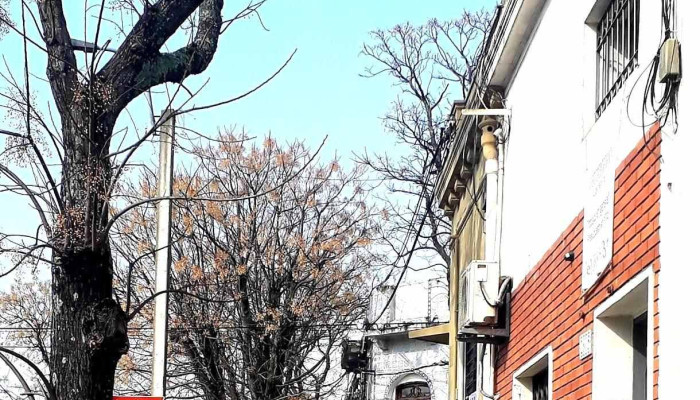 Curva De Maronas Todo - Montevideo