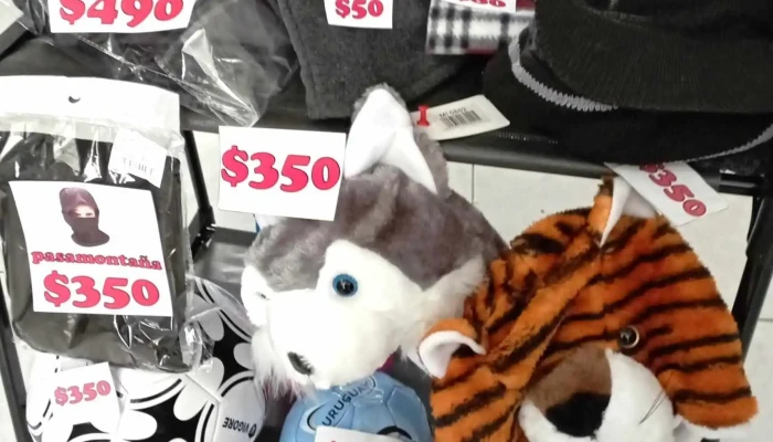 Cyber Dronia Impresiones -  Del Propietario - Ciudad de la Costa