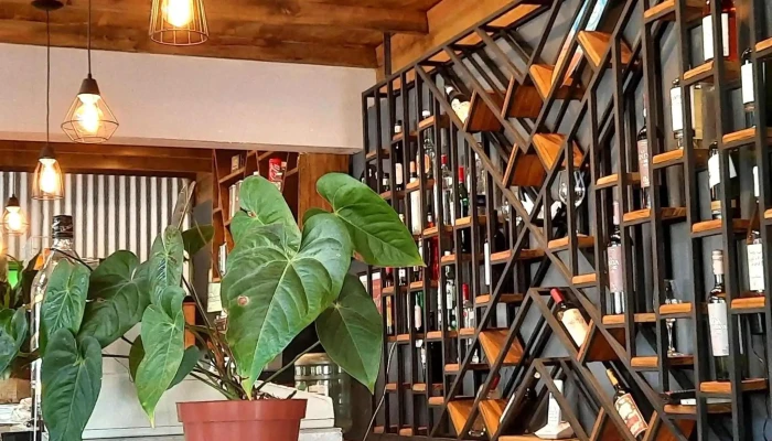 Cyrano Punta Del Este -  Comentario 1 - Punta del Este