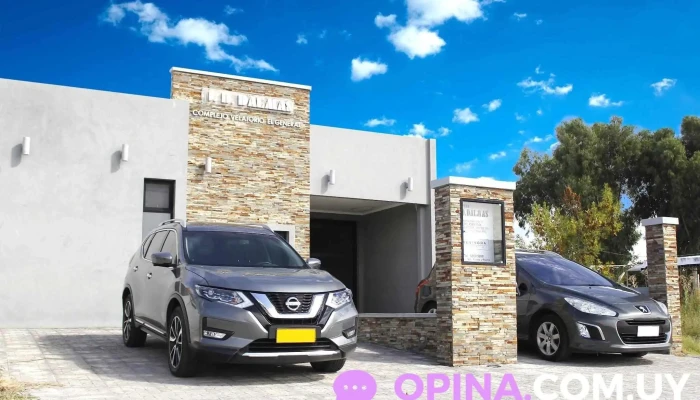 D. D. Dalmas - 70000 Col. Del Sacramento