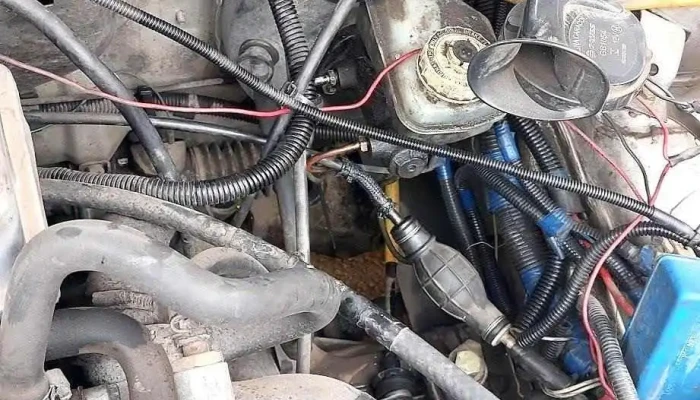 D -  D - el Propietario - Montevideo